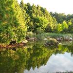 False Creek Duck Pond photo # 15