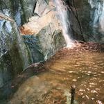 YVR Green Totem Falls photo # 8