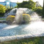 Van Pelt's Fountain