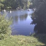 False Creek Duck Pond photo # 3